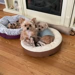 Mary Applegate - @mary.applegate68 - Instagram