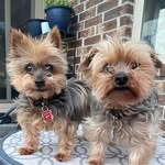 Mary Applegate Cearley - @mncearley - Instagram