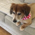 Mary Maxwell Appleton - @maryleeappleton - Instagram
