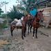 Mary Arcos - Facebook