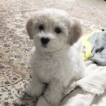 Mary Arens - @atlasrichmond - Instagram