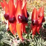 Mary Argall - @argall.mary - Instagram