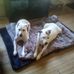 Mary C Argall - Facebook