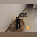 mary_arrigoniiiiii - @mary_arrigoniiiiiiiiii - Instagram