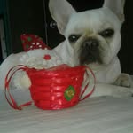 maryarrigoni - @maryrodrigezoleas - Instagram