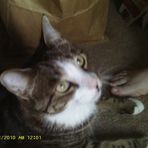 Mary Ann Arscott Magaw - Facebook