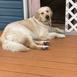 Mary Arscott - @mary.arscott - Instagram