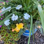 Mary Arsenault - @arsenault6124 - Instagram
