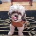 Mary Arsenault - Facebook