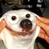 marylarsenault - @marylarsenault - TikTok