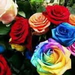 ناهي خان - @maryasaya123 - Instagram