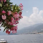 𝕄𝕒𝕣𝕪𝕒 - @maryasayed6 - Instagram