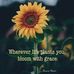 Mary Ashbrook - Facebook