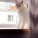 Mary Askin - Facebook