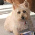 Mary Fenton Aurand - @maryaurand - Instagram