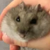 Mary_Avram61 - @mary_avram61 - TikTok