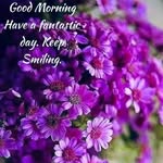Mary Babson - @babson840 - Instagram