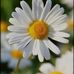 Mary Bacab - Facebook