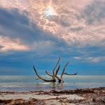 Mary Kay Sakalousky Bacher - @marykaybacher - Instagram