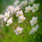 Ma Rui - @mary_back_to_china - Instagram