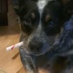 Mary Backes - @backesmary - Instagram