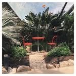 Mary Baisch - @baisch620 - Instagram
