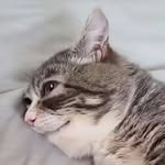 Mary Ballantyne - @maryvernalynn - Instagram