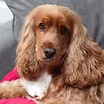 Mary Ballantyne - @tweeniekb - Instagram