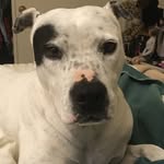 Emma D. - @mary_baltimore - Instagram