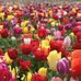 Mary Bambrick - Facebook