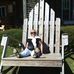 Mary Bambrick - Facebook