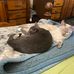 Mary Bambrough - Facebook