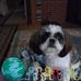 Mary Baptiste - Facebook