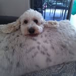 Mary Bardin - @mmacka1953 - Instagram