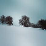 Mary Bardon - @bardonmary - Instagram