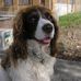 Mary Barkey - Facebook