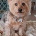 Mary Barkey - Facebook
