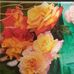 Mary Barnhardt - Facebook