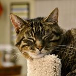 Mary Barstow-Buermann - @barstow42 - Instagram