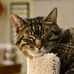 Mary Barstow-Buermann - Facebook