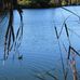 Mary Holland Park Bartow FL - Facebook