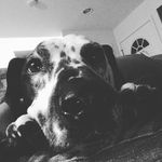 Mary Martin Bascome - @marybascome - Instagram