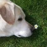 Mary Baselt - @marybaselt - Instagram