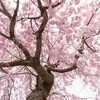 Mary basham - @mary.basham7 - TikTok