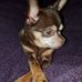 Mary Bastin - Facebook