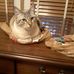 Mary Bastin - Facebook