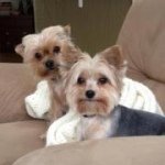Mary Baumer - @maryabaumer - Instagram