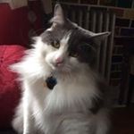 Mary Baumer - @marybaumer - Instagram