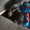 Baumgartmary89 - @baumgartmary894 - TikTok
