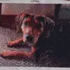 Mary Beechler - @mary.beechler - TikTok